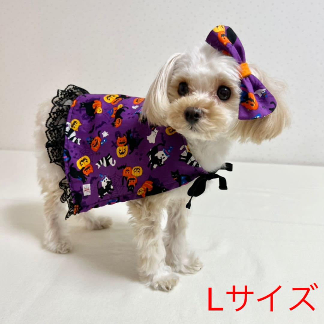 犬用 ハロウィンマントとリボンの2点セット Lサイズ メルカリ