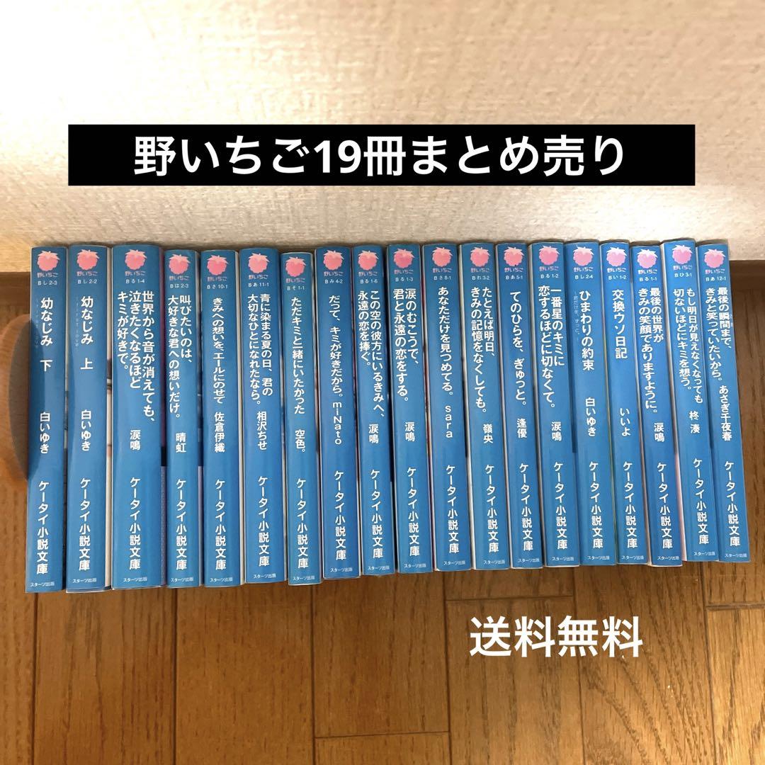 野いちご ケータイ小説 19冊まとめ売り 古本 ブルーレーベル