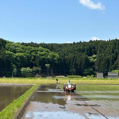 みんみんさま専用☆減農薬少量生産コシヒカリ 栃木県産 精米 9kg R6年産