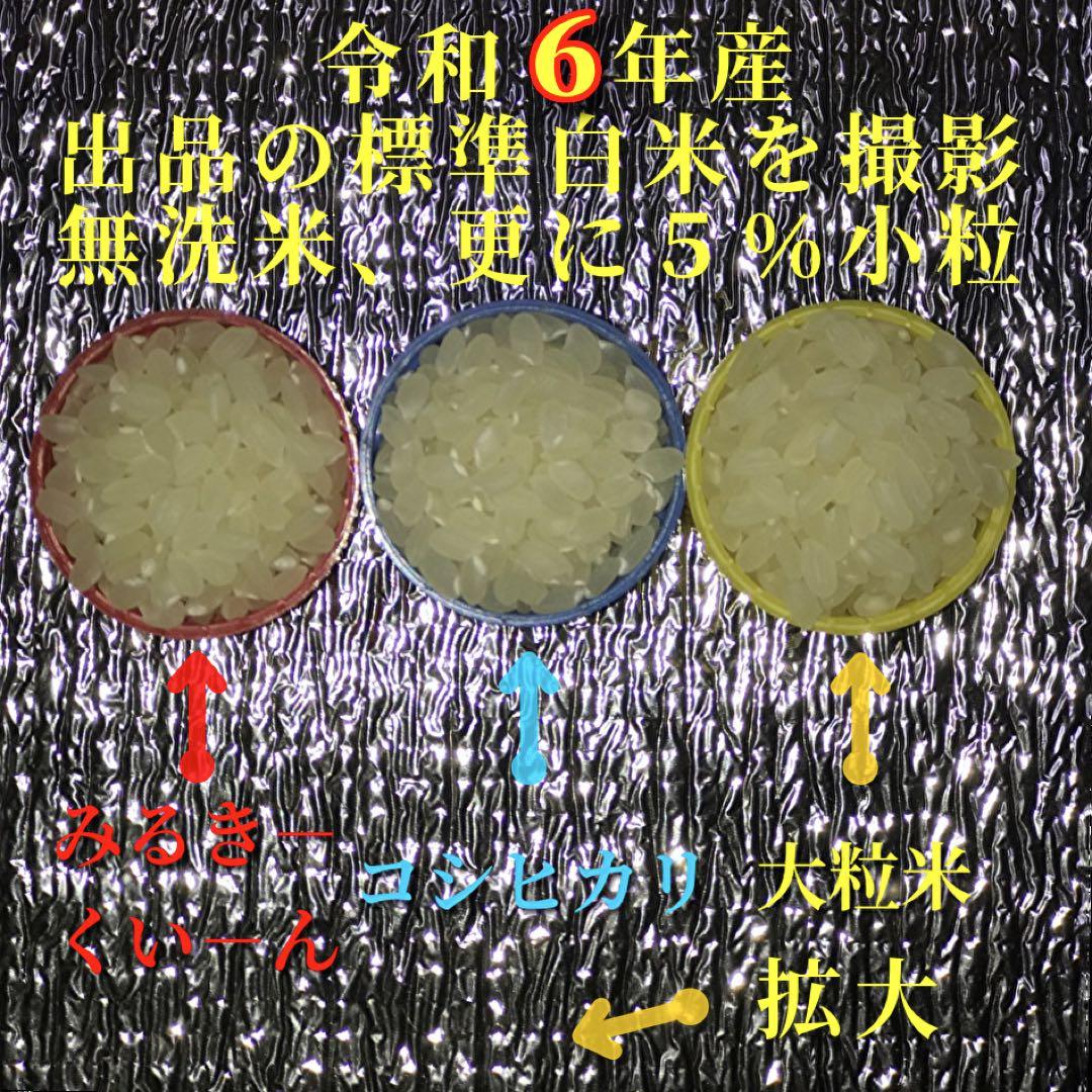 希少】ミルキークィーン　酵素米　玄米１０ｋｇ「無洗米に精米」ミルキークィーン