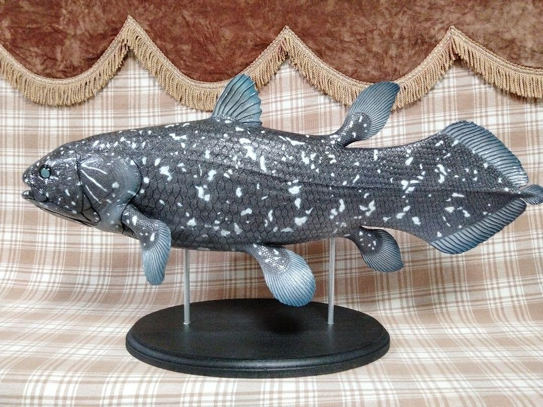 新色ハンドメイド　61cmシーラカンス フィギュア　レプリカ　化石魚　古生物