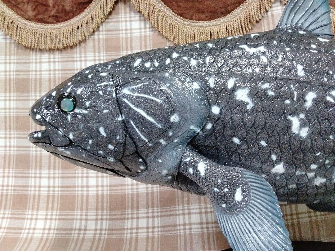 新色ハンドメイド　61cmシーラカンス フィギュア　レプリカ　化石魚　古生物