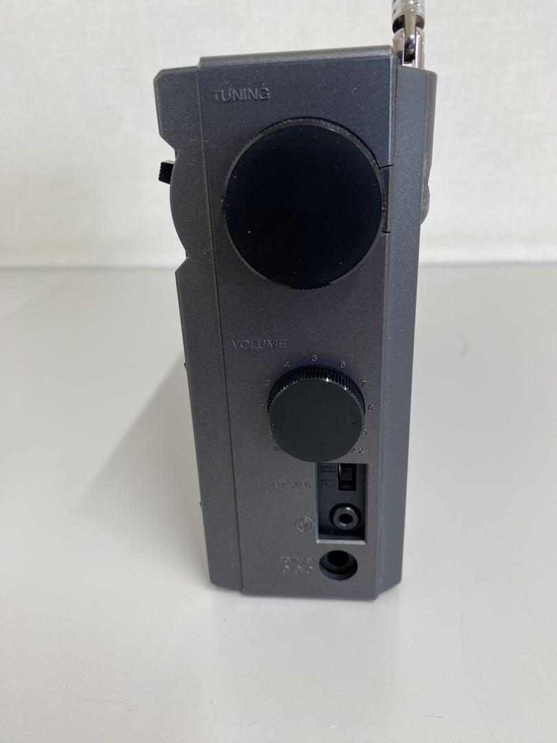 ICF-EX5MK2