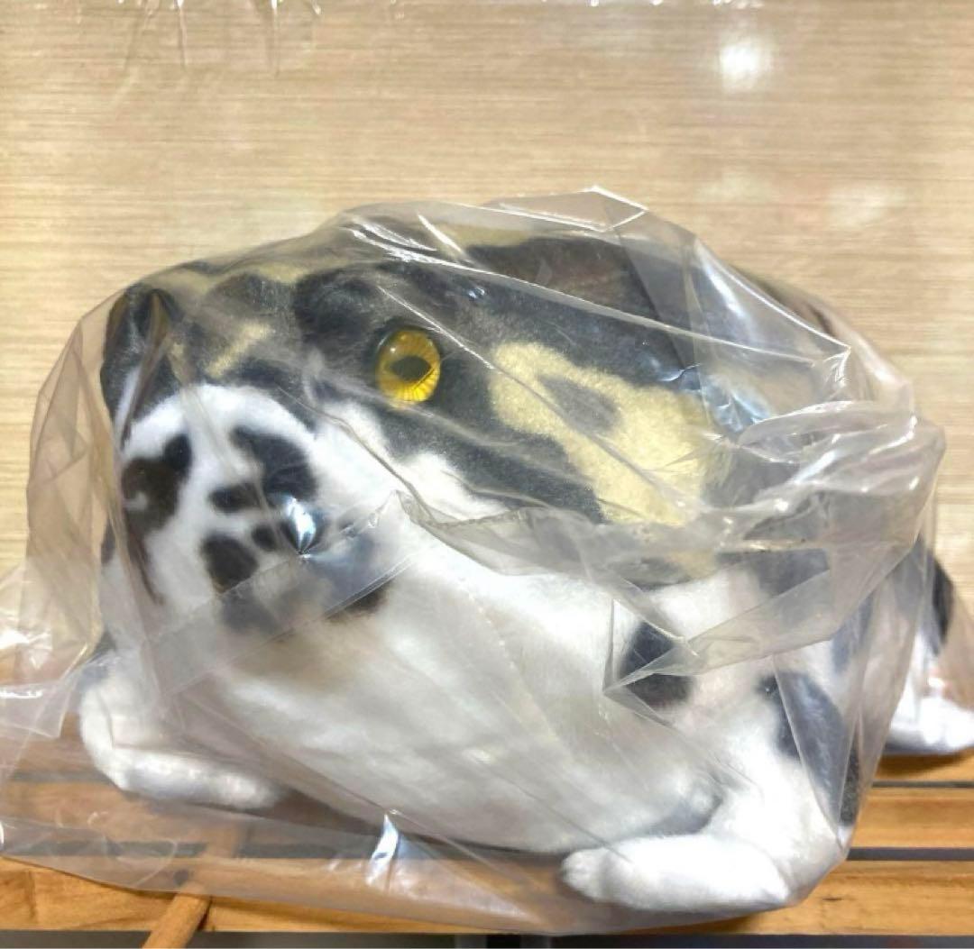 【未開封】　りあるあにまるず　アメフクラガエル　ぬいぐるみ