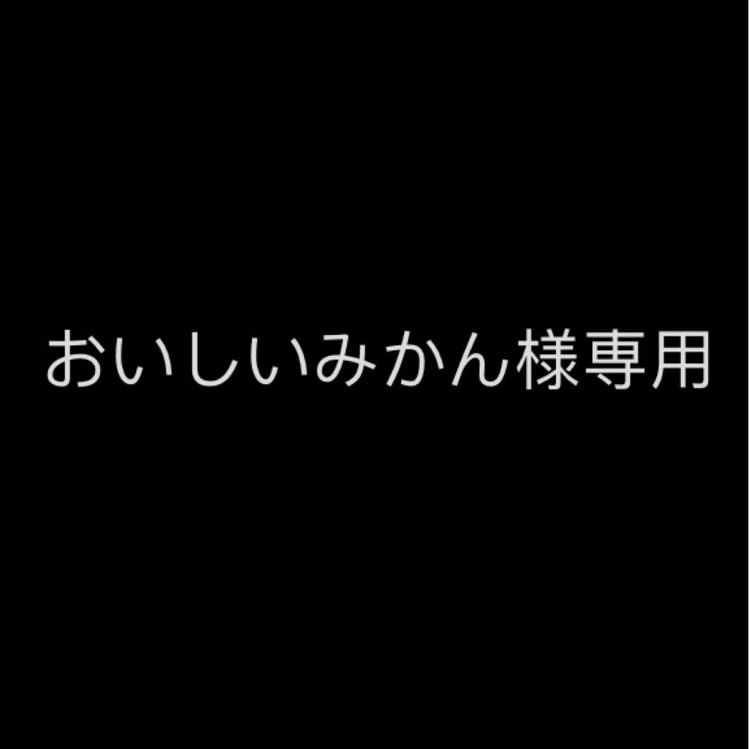 おいしいみかん様専用