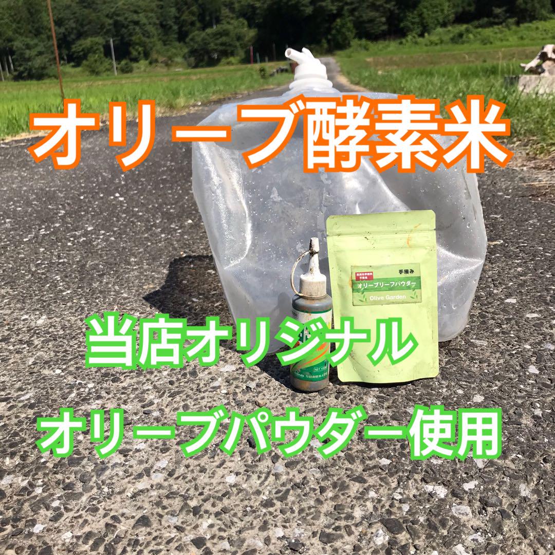 令和六年産 近江米コシヒカリ オリーブ酵素米 10キロ 超減農薬 白米 匿名配送