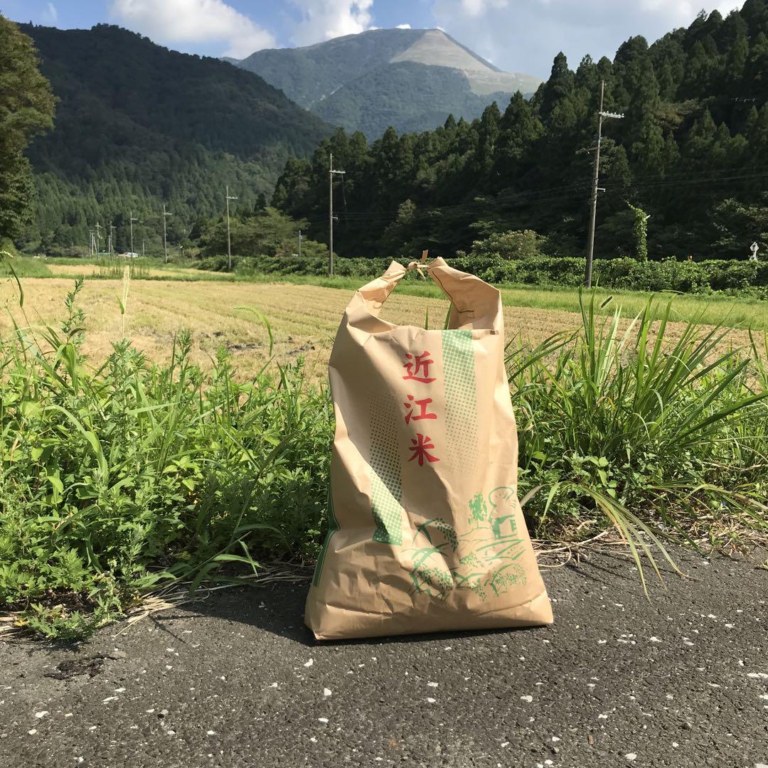 令和六年産 近江米コシヒカリ オリーブ酵素米 10キロ 超減農薬 白米 匿名配送