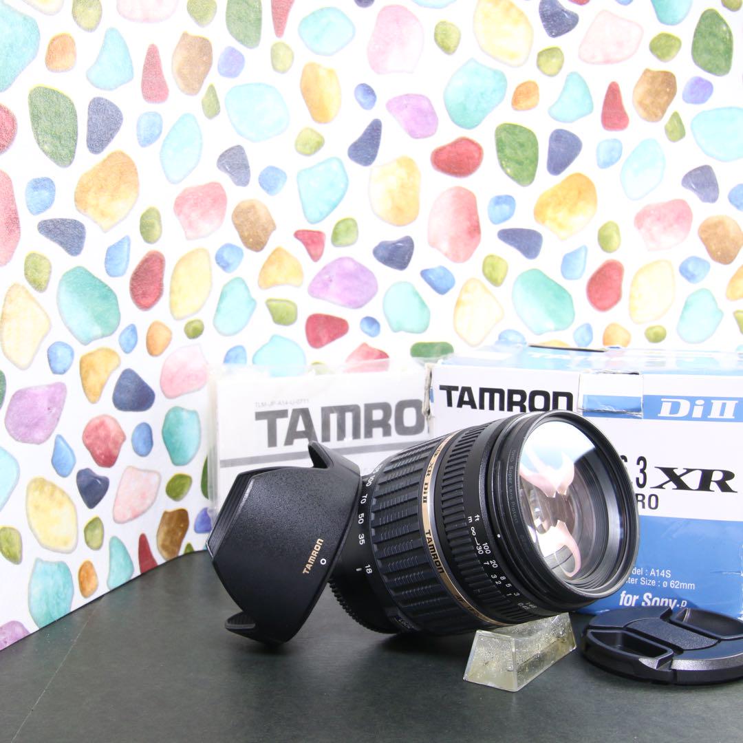 格安 ♥︎◇広角から望遠まで ◇Tamron 18-200mm SONY - メルカリ レンズ(ズーム)