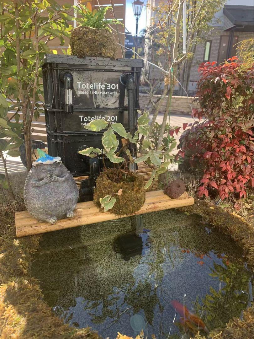外部式飼育濾過装置　濾過槽