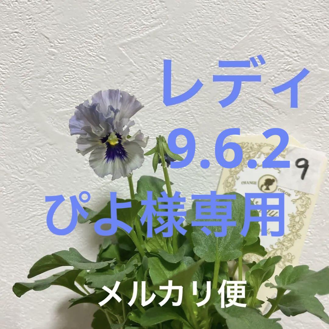 ぴよ様専用　No.9.6.2 メルカリ便