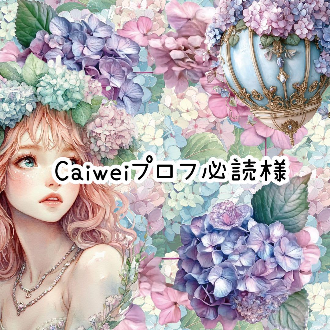 美品  caiweiプロフ必読様♡ありがとうございます♡ メルカリ - その他