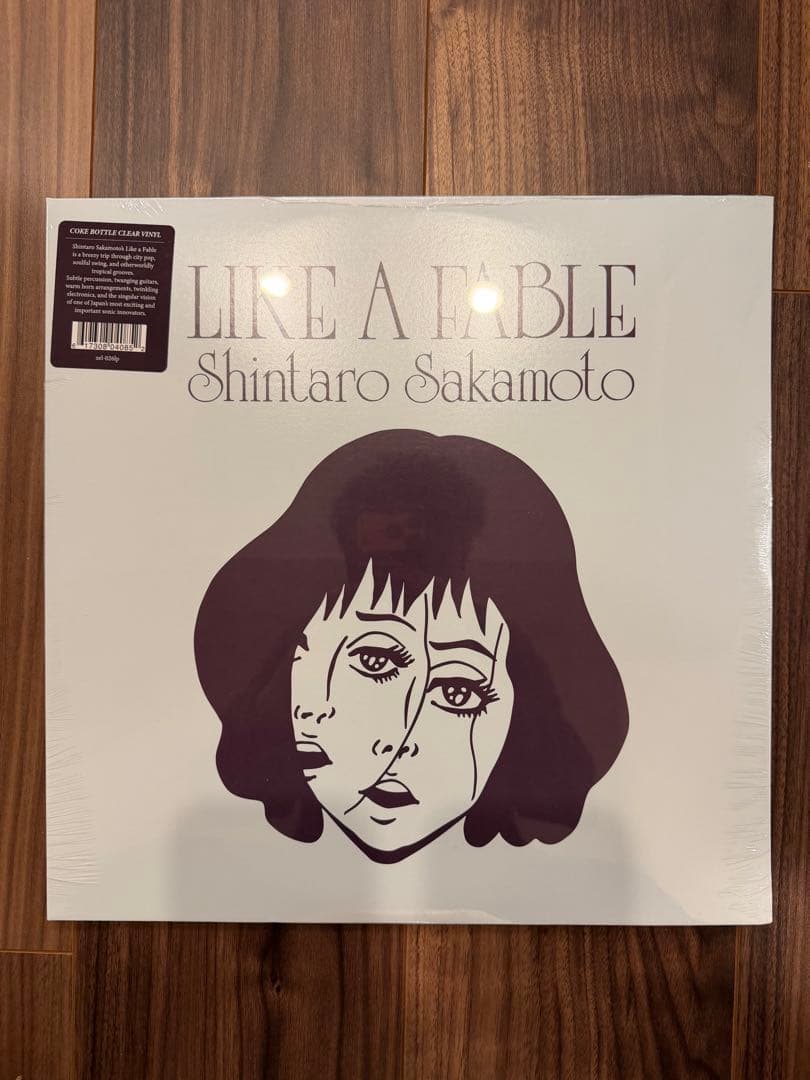 【珍品・レア・廃盤】vox vision vol.1 坂本慎太郎 即完売品 坂本慎太郎Like A Fable レコード アナログ盤 - メルカリ