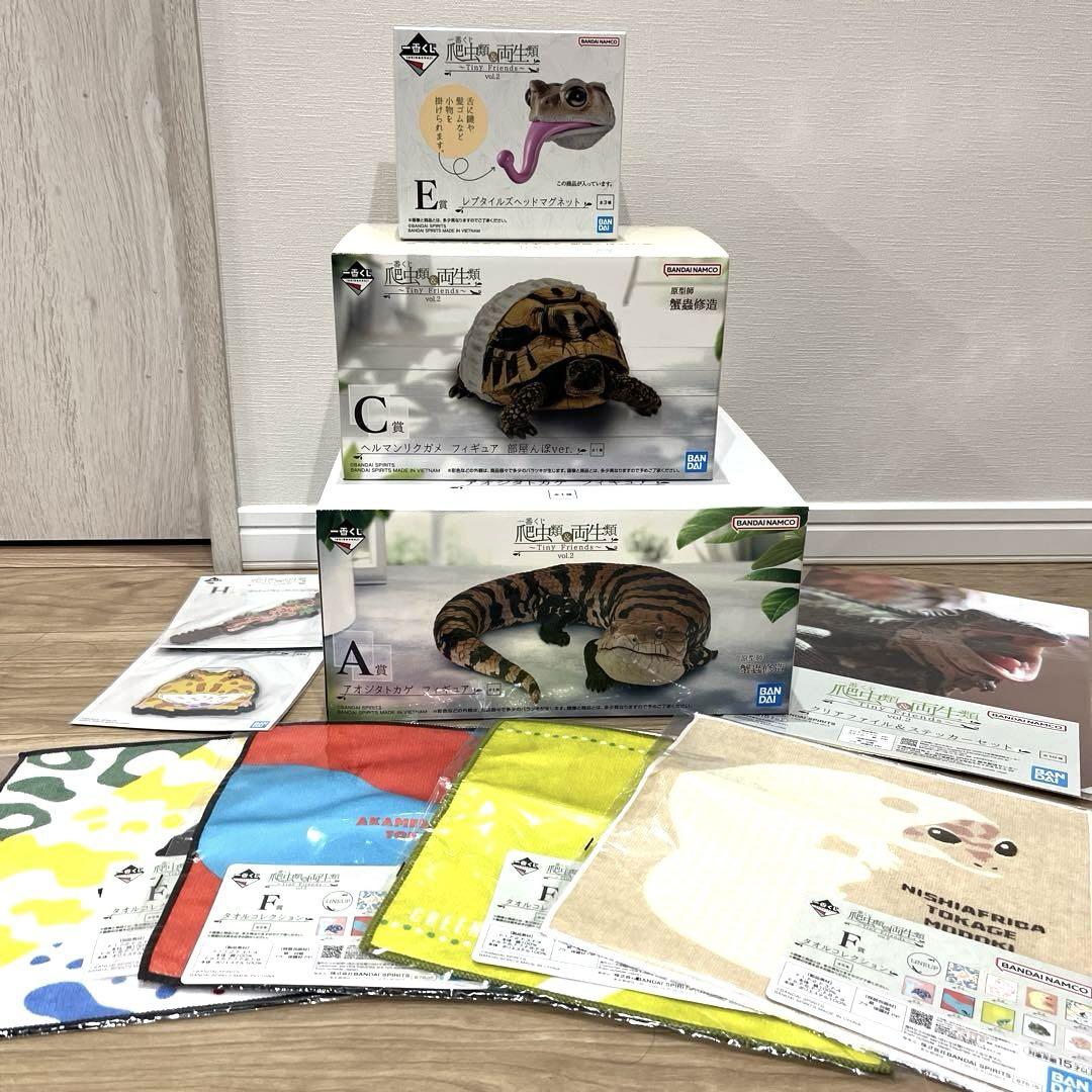 1番くじ爬虫類&両生類Ver.2 C賞ヘルマンリクガメ E賞マグネットおまけ付き 一番くじ 爬虫類＆両生類 vol.2 A賞 C賞 E賞 フィギュア FGH