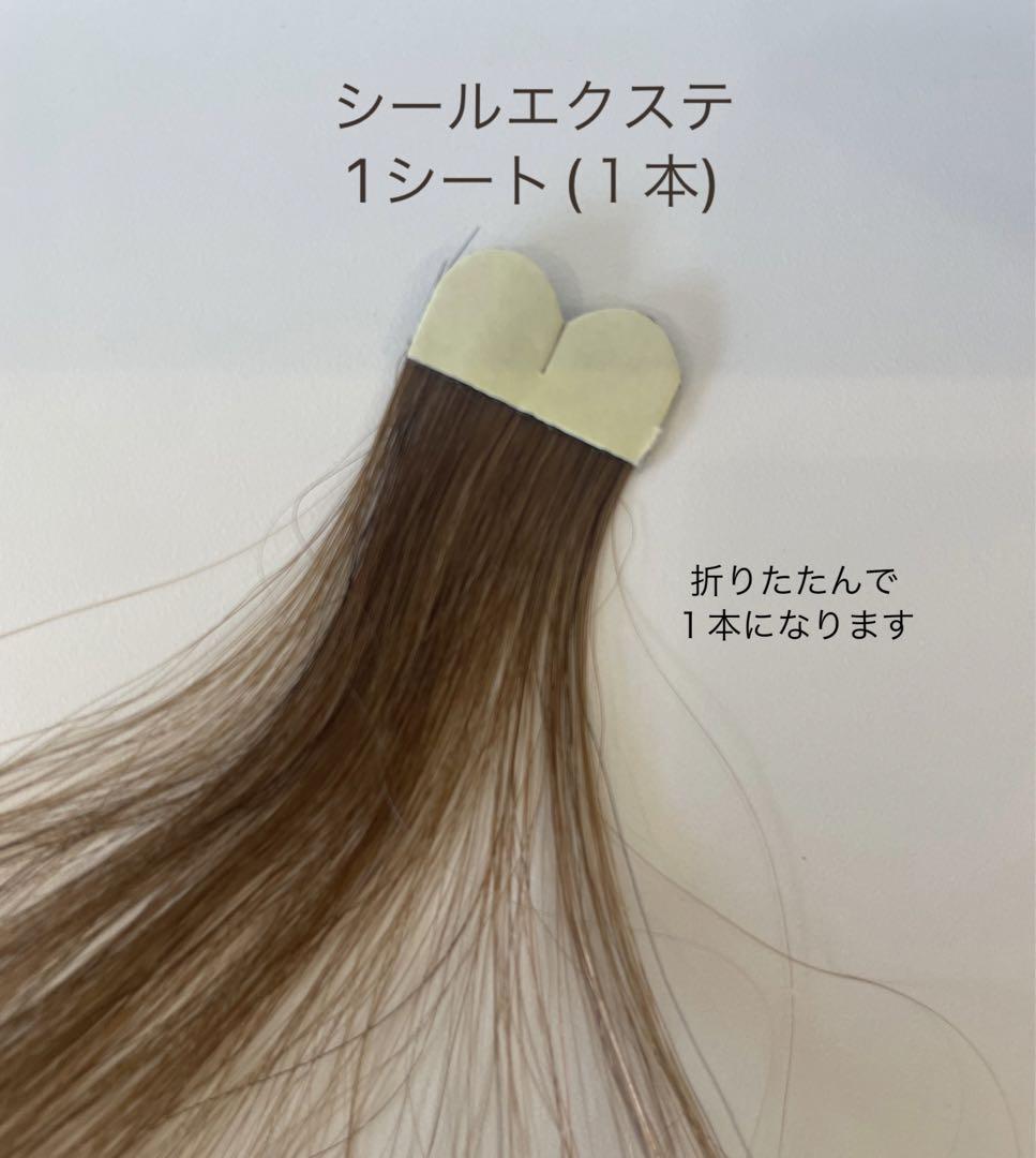 シールエクステ10本ピュアバイオレット|バイオレット|レッドバイオレット