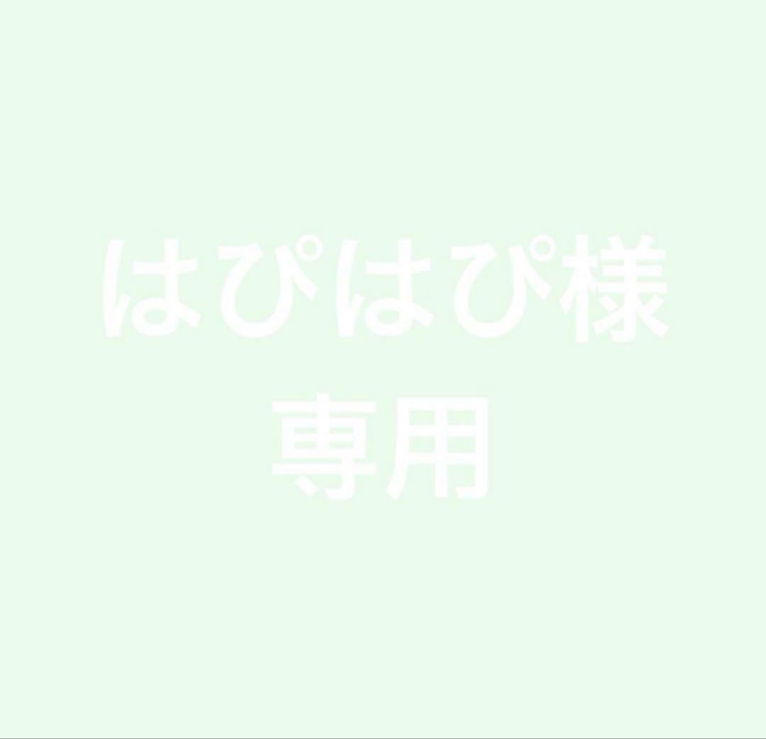 はぴはぴ様　専用