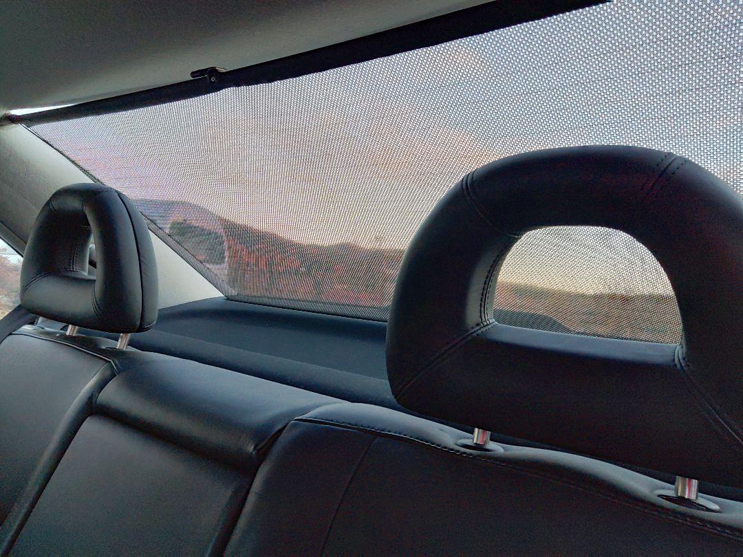 Volkswagen Bora ホワイト ❗️絶滅車種❗️一時抹消❗️
