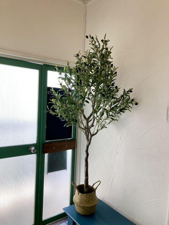フェイクグリーン 160cm 造花 人工観葉植物 w0PMX-m79253646049 オリーブ の木 人気在庫あ