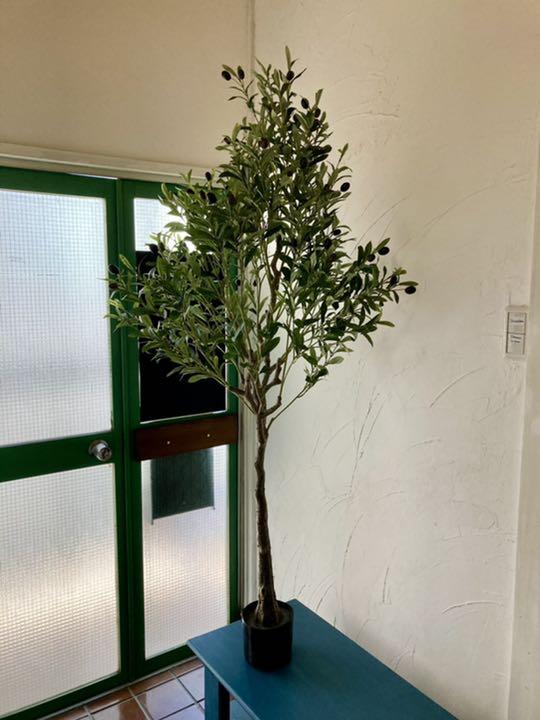 フェイクグリーン 160cm 造花 人工観葉植物 w0PMX-m79253646049 オリーブ の木 人気在庫あ