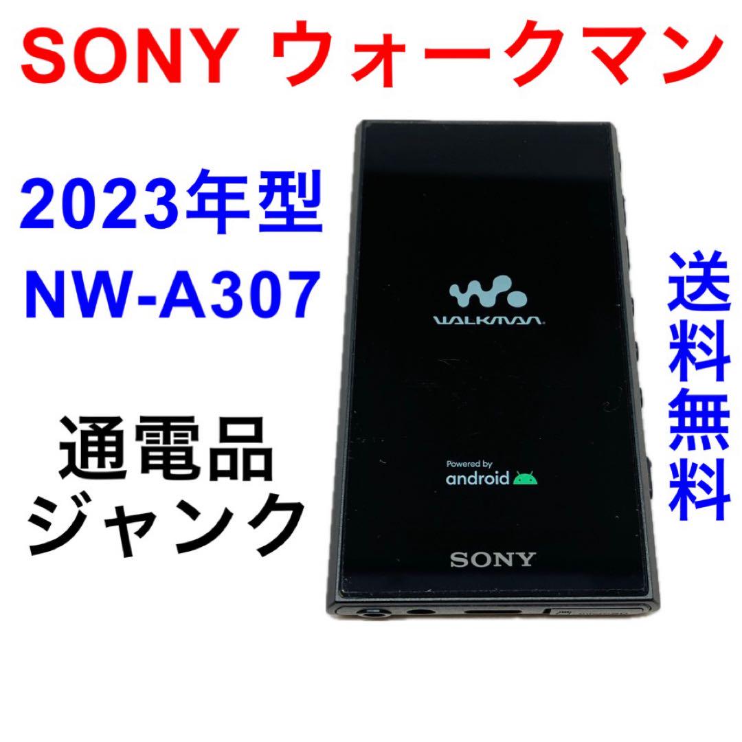 Apple iPod 160GB 80GB 30GB A1238 A1136 ポータブルプレーヤー