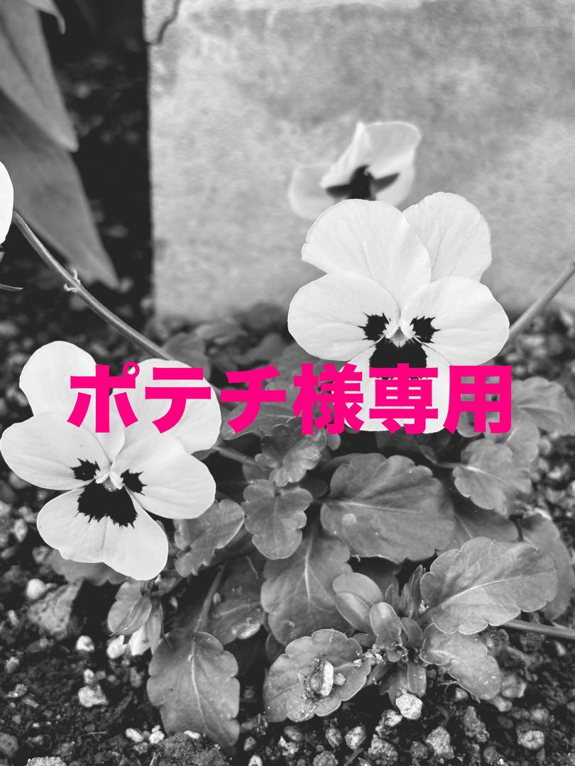 ポテチ様専用ページ