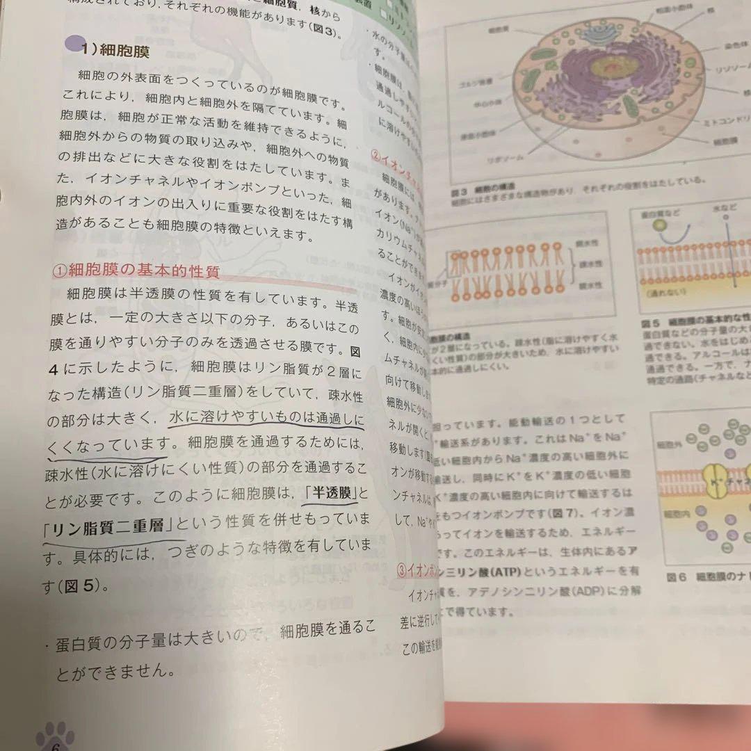 動物看護の教科書 set