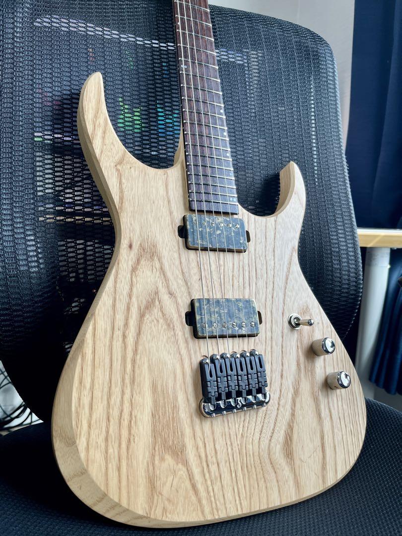 ギター Aviator Guitars Predator 6