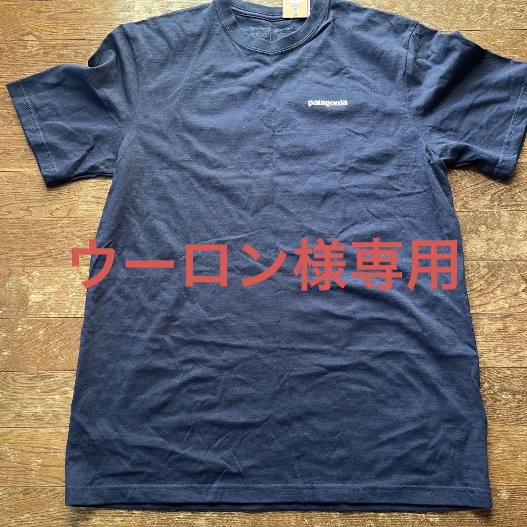 patagonia Mサイズ Tシャツ