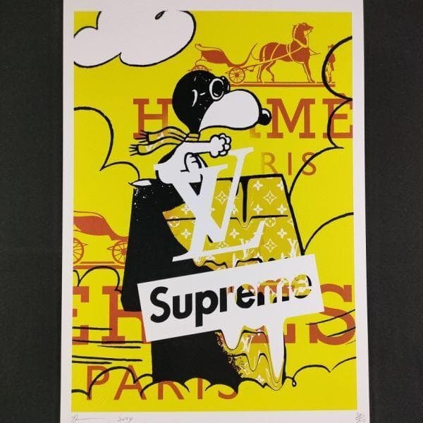 あ124 DEATH NYC スヌーピー トムエバハート パイロット 飛行機