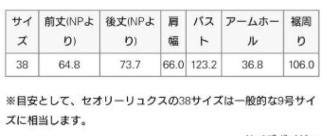 セオリーリュクス ウォッシャブルニット theory luxe