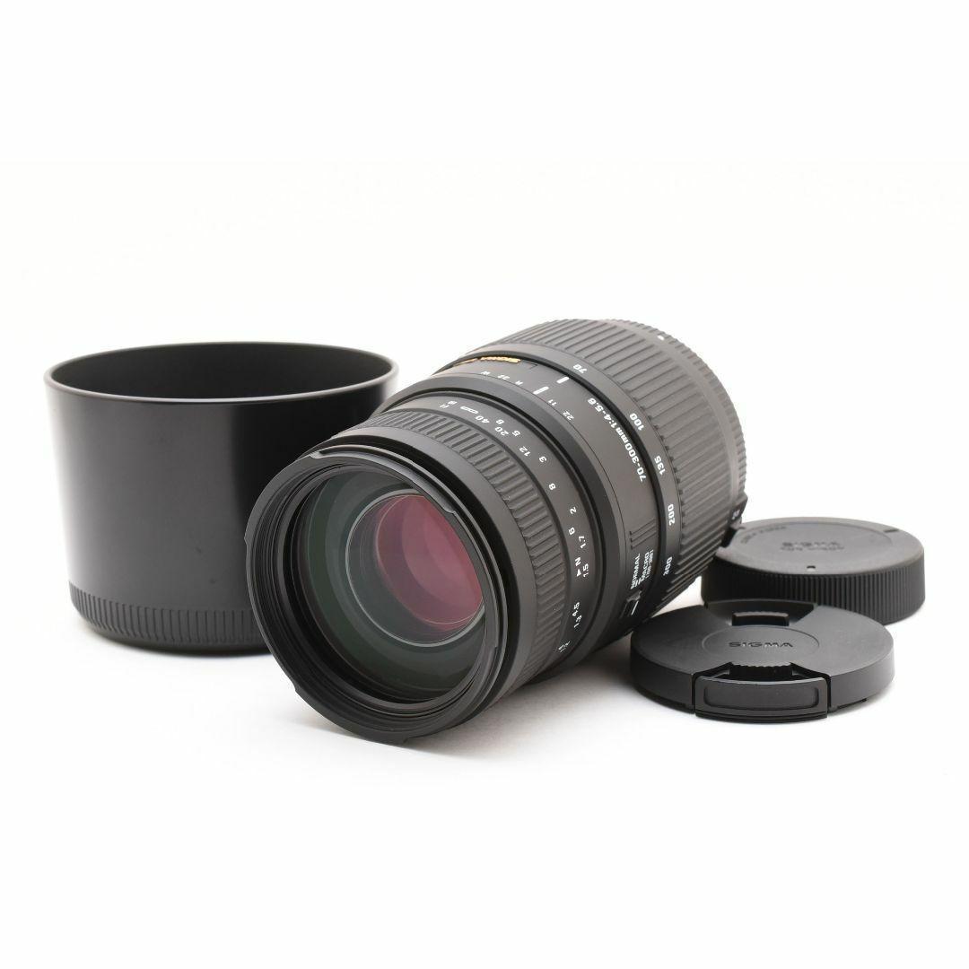 シグマ 70-300mm f4-5.6 DG MACRO：2513723