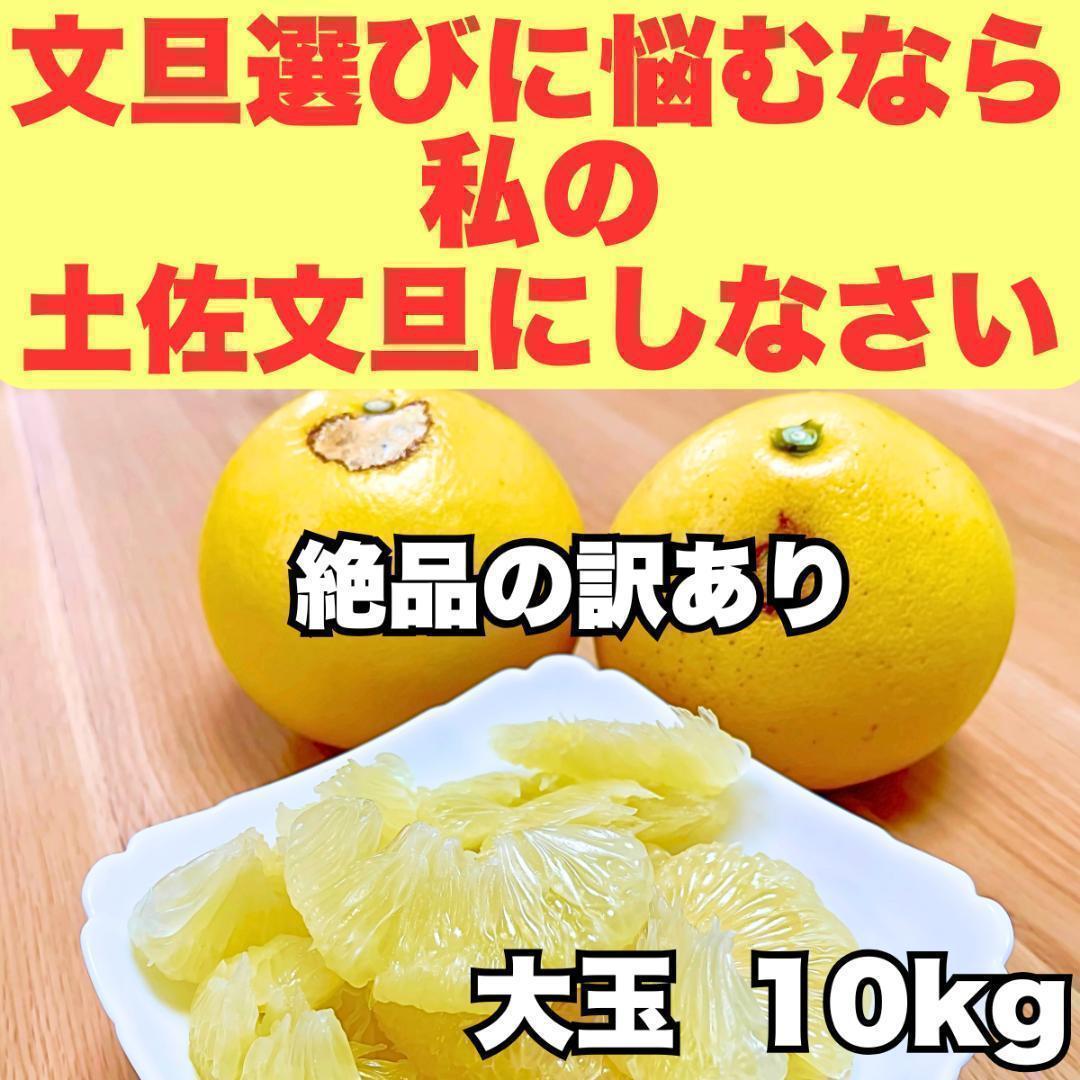 【厳選】絶品の訳あり：大玉10kg 土佐文旦