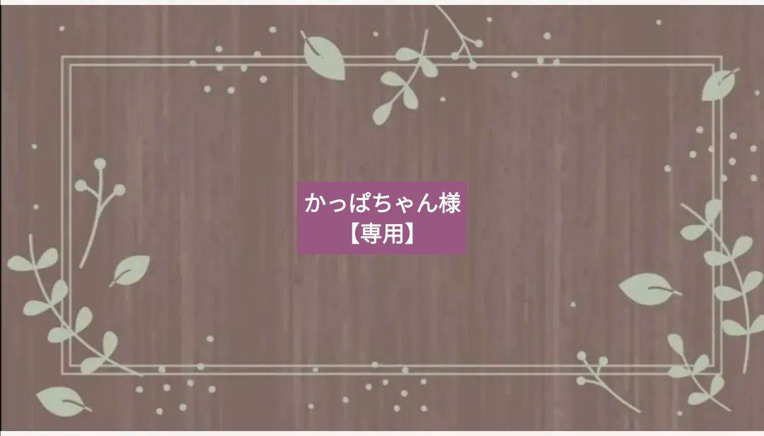 みどちゃん様確認専用ページ ミカンちゃん様 専用 - メルカリ