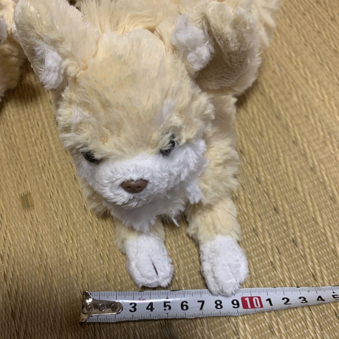 サンレモン　ぬいぐるみ　チワワ　小　4匹
