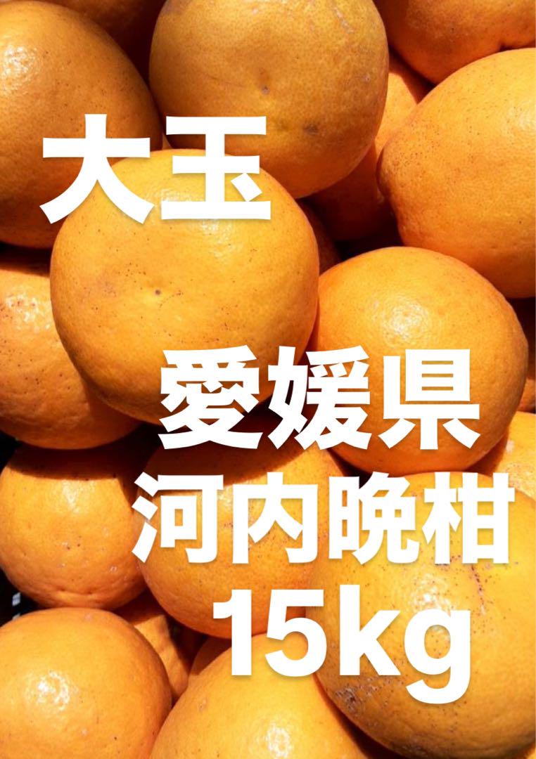 愛媛県産　宇和ゴールド　河内晩柑　柑橘　15kg