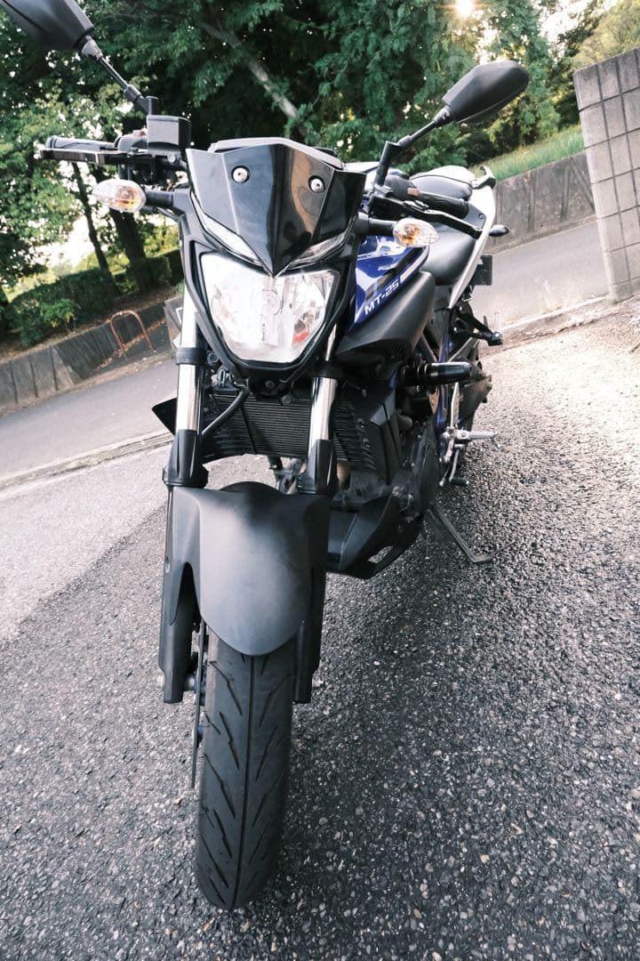 Yamaha MT-25 ネイキッドバイク 青