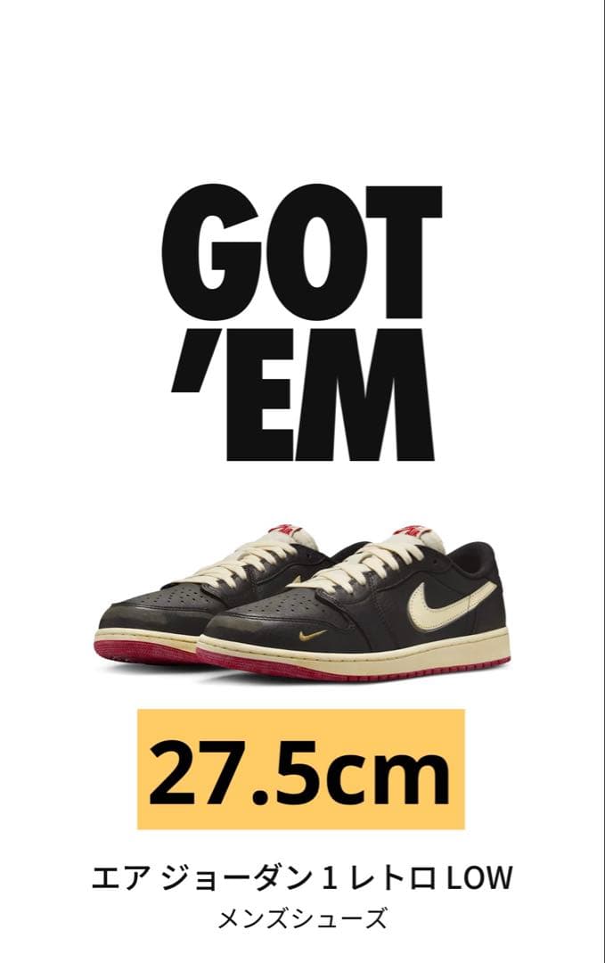 Nigel Sylvester × Nike Air Jordan 1 27.5