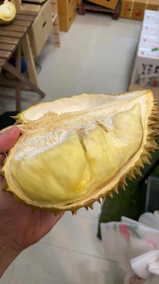 激安+送料無料！ タイ産　泰国新鲜榴莲 金枕榴蓮　4.9-5.2ｋｇ