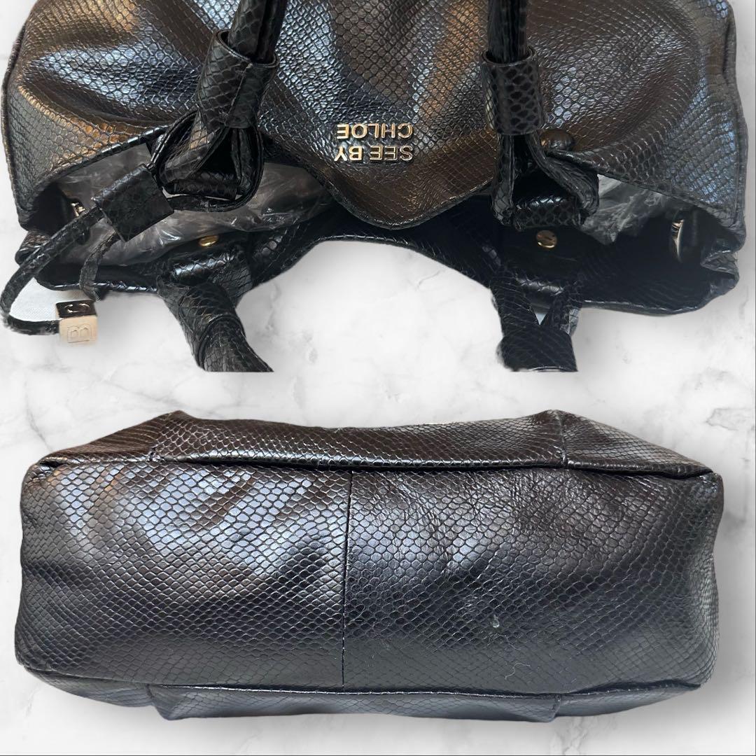 極美品❣️ SEE BY CHLOE シーバイクロエ　2WAY ショルダーバッグ