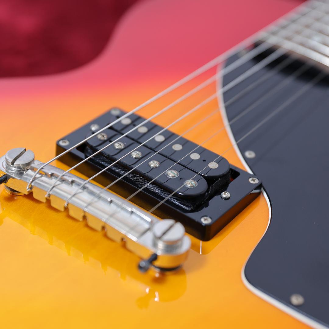 EPIPHONE by Gibson Les Paul junior Jr awardsandwinners.com