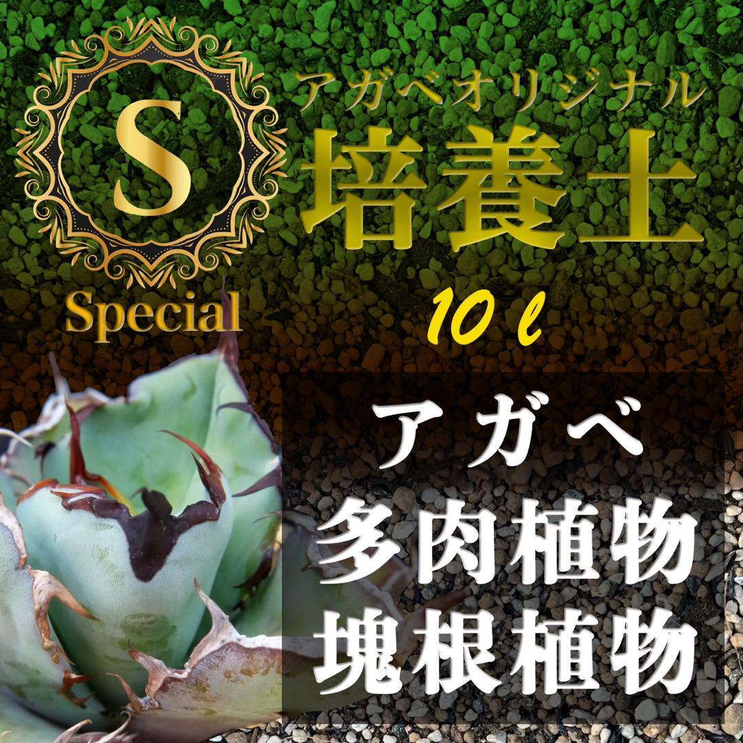 アガベ土☆オリジナル培養土Special10㍑（アガベ・多肉・サボテンの土 ） 5,282円