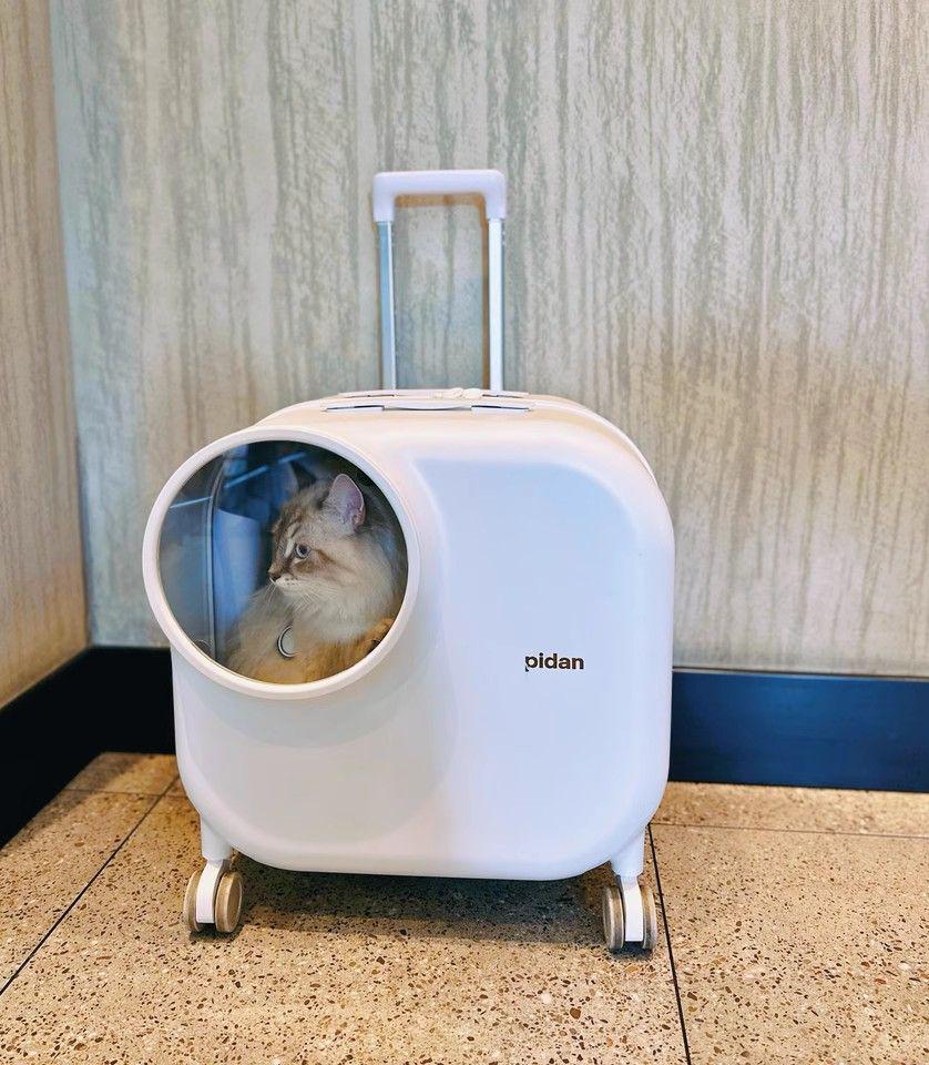 ELMO キャットフード8.8kg ドライフード キャットフード