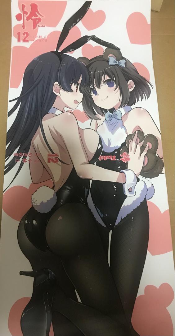 咲-Saki-26巻　シノハユ18巻　怜-Toki-12巻　メロンブックス特典付