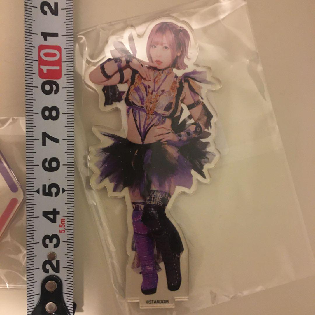 中野たむ dmmオンクレ グッズセット アクスタ クリアカード アクキー STARDOM 中野たむ アクリルスタンド DMMオンクレ限定 別商品の