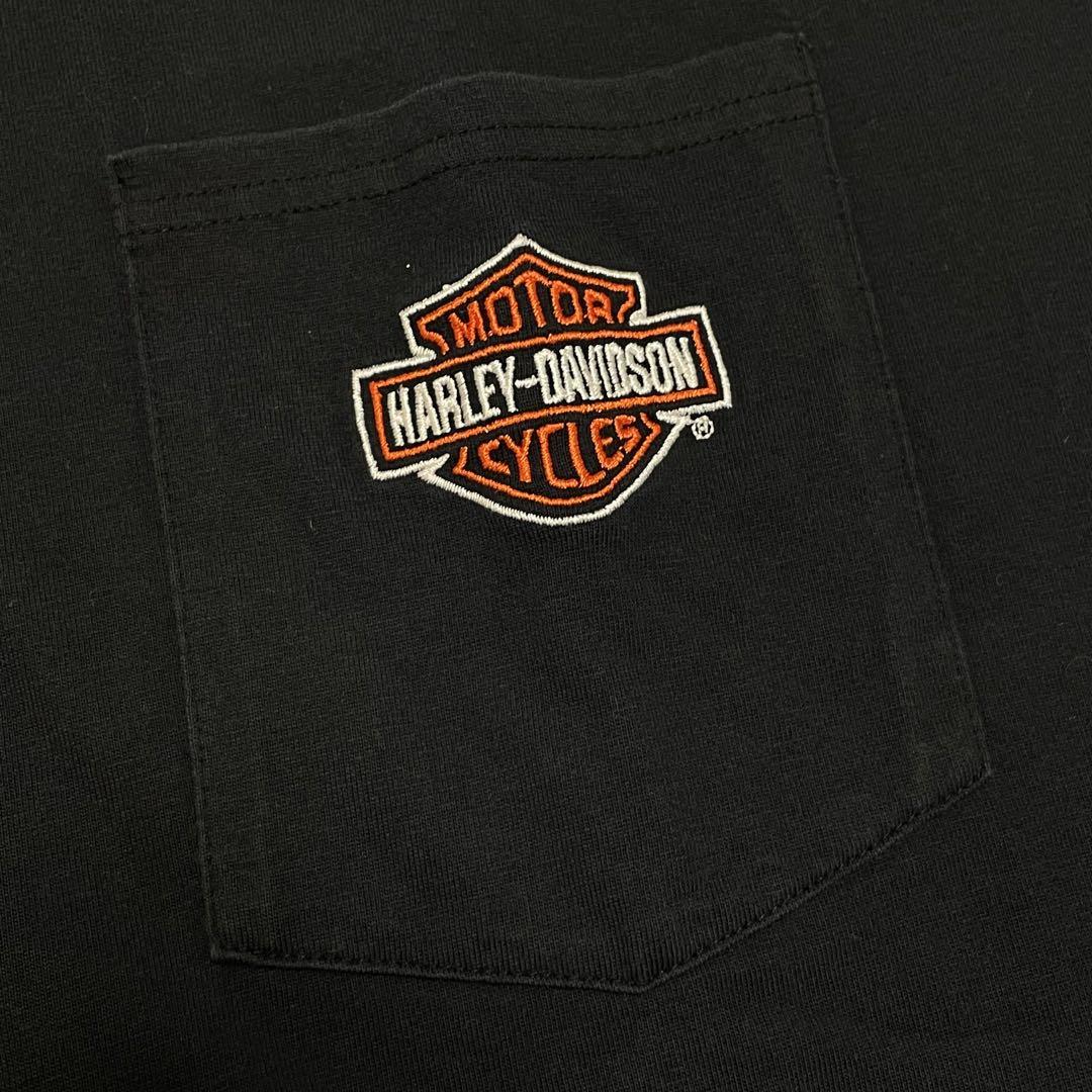 希少 3XL 90s 00s ハーレーダビットソンHARLEY-DAVIDSON