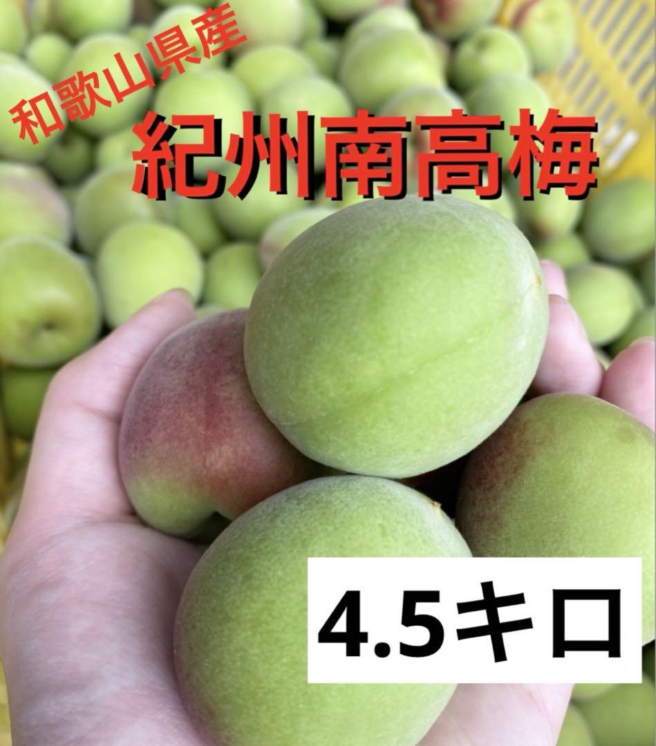 紀州南高梅　4.5キロ