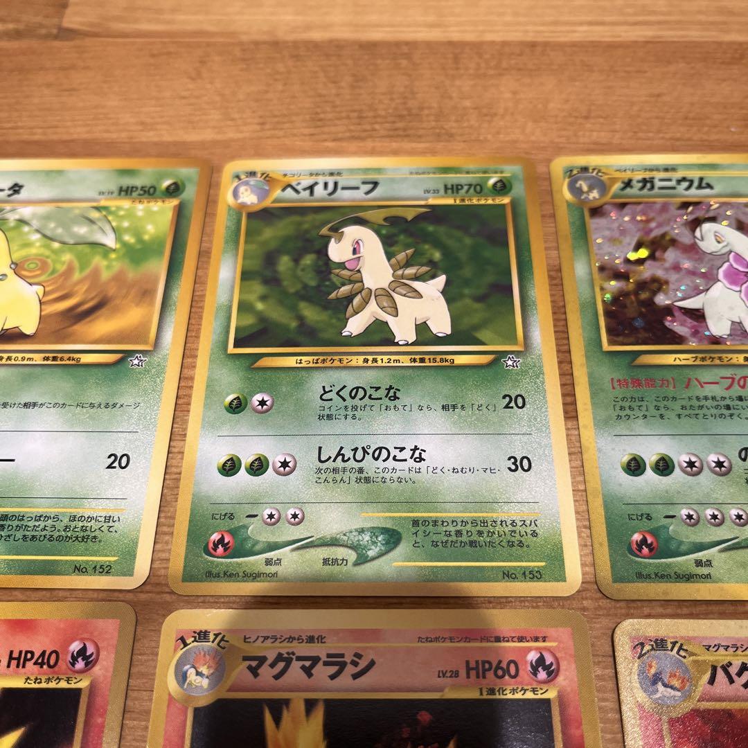 ポケモンカードneo プレミアムファイル　金銀新世界へ　カードのみ