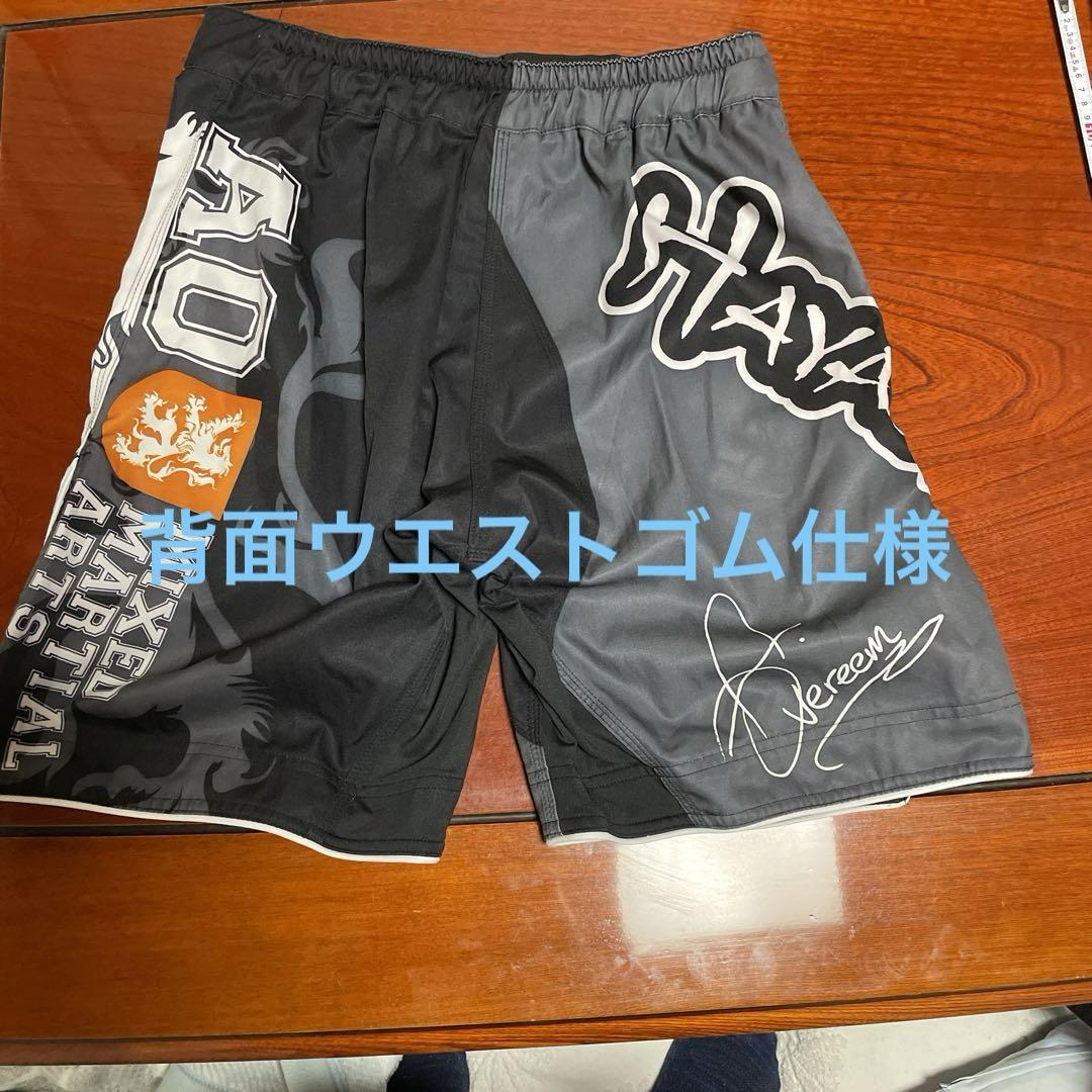 アリスターオーフレイム ショーツ ファイトショーツ MMA GEAR