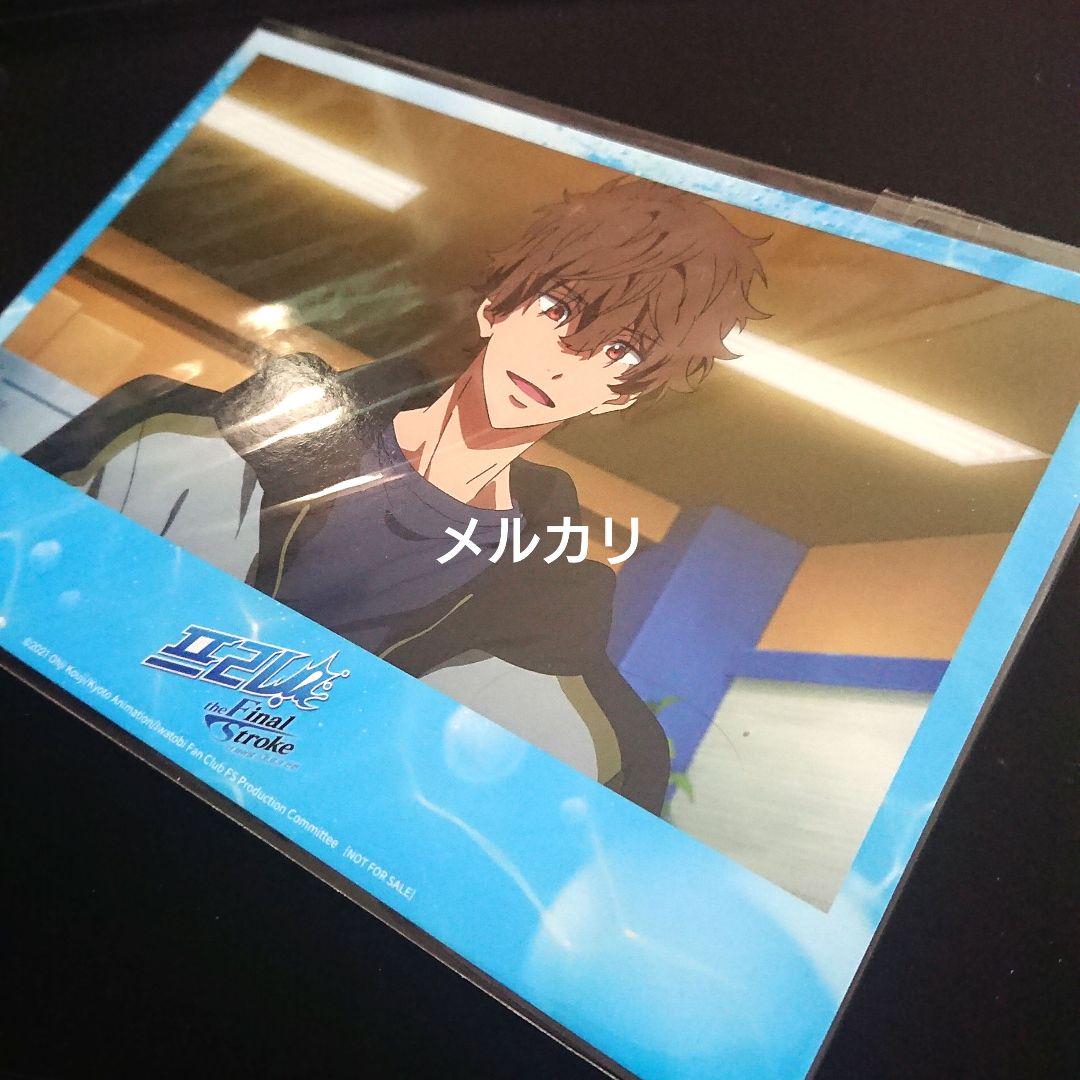 売れ筋新商品 Free! 入場者特典 ランダムポストカード 非売品 桐嶋夏也 その他