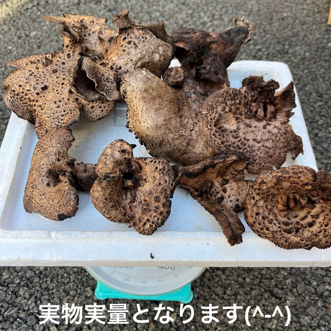 ① 岩手雫石町産 天然 香茸 バクロ 300g - メルカリ