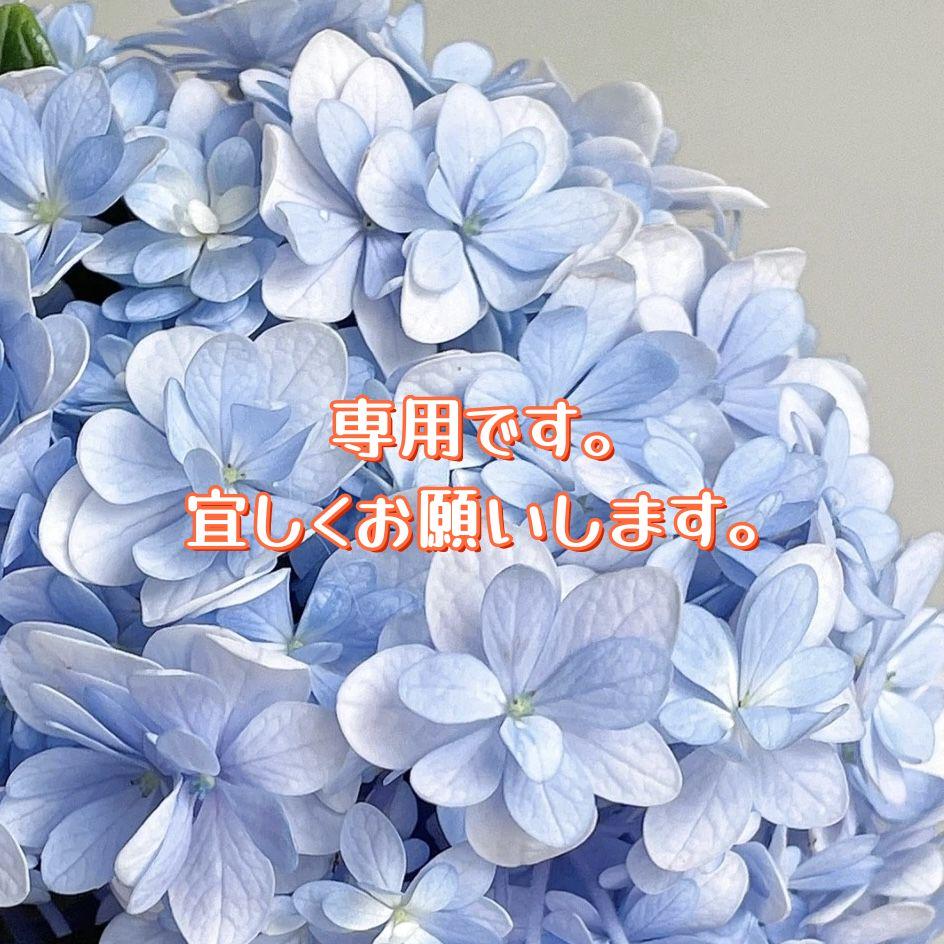 azu様専用6